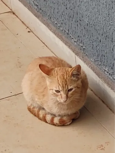 Doação 
