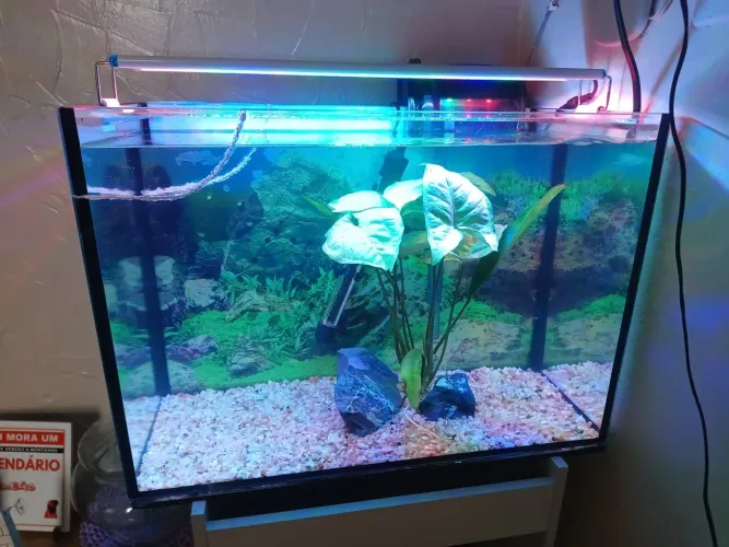 Aceito cartão - Aquário 45L completo