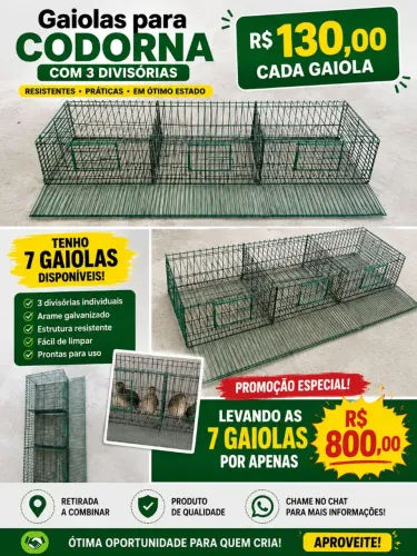 Gaiola de codorna c/ 3 divisões cabendo até 30 codornas