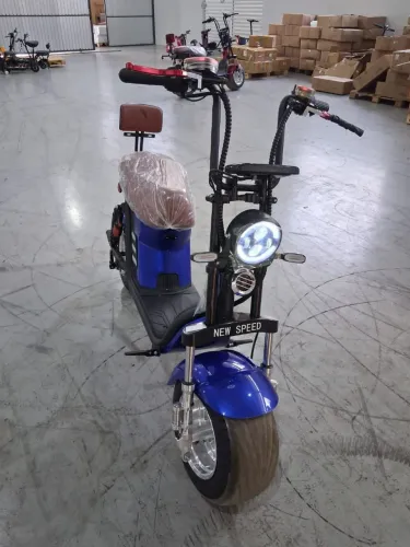 Scooter X13 1000w