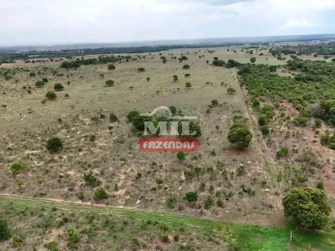 Fazenda 57,3 alqueires (277,33 hectares) São Miguel do Araguaia - Go