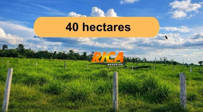 VENDE-SE EXCELENTE SÍTIO NAS MARGENS DO RIO PRETO- 39 hectares de pasto para agricultura