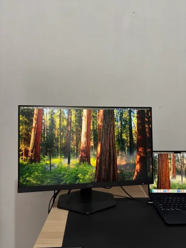Monitor Gamer AOC 24? 