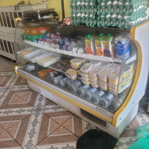 Freezer expositor horizontal