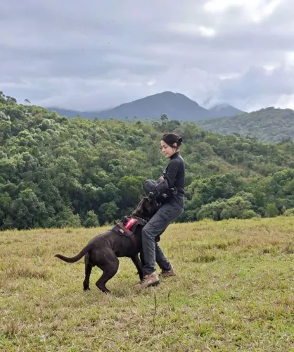 Adestramento de Cães 