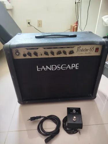 Amplificador landscape predator 65