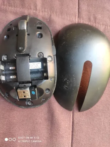 Mouse 