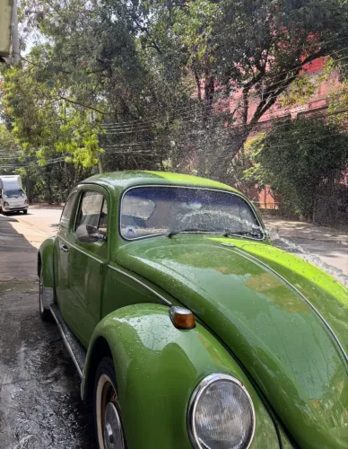 Volkswagen Fusca Fusca (gasolina) 1972