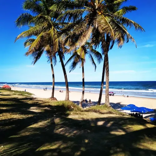 PRAIA FLAMENGO - VENDA OU ALUGA - 2 QUARTOS , BANHEIRO - PERTO DA PRAIA