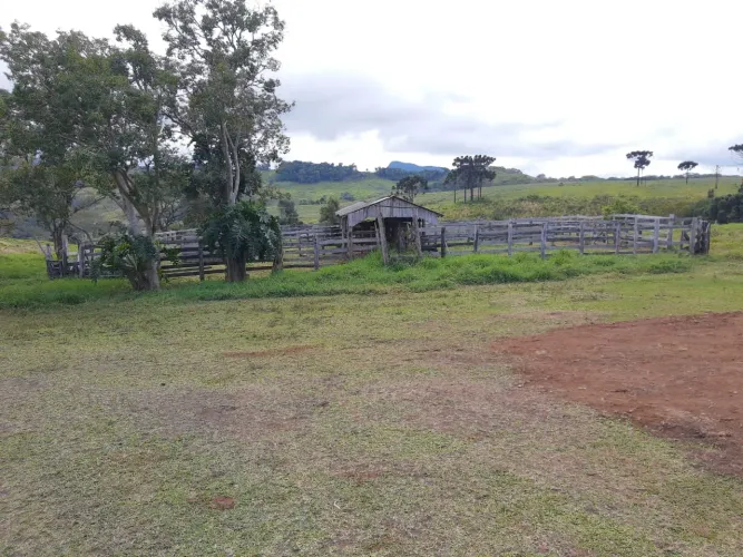 Fazenda 402 Alqueires - Sendo 140 Alqueires em Plantio de Grãos (Planta mais 40 Alqueires)