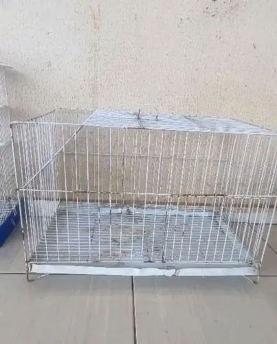 Gaiola para coelho