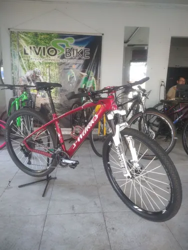 Bike MTB aro 29 fibra de carbono
