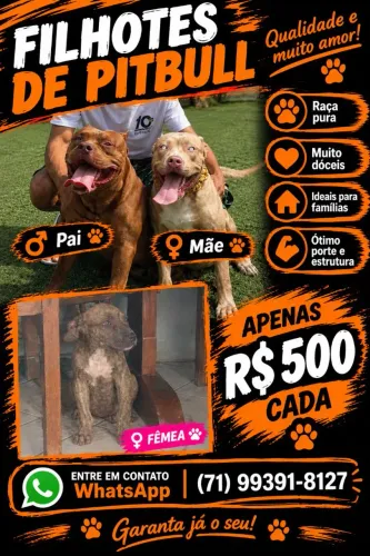 Filhote de Pit monster