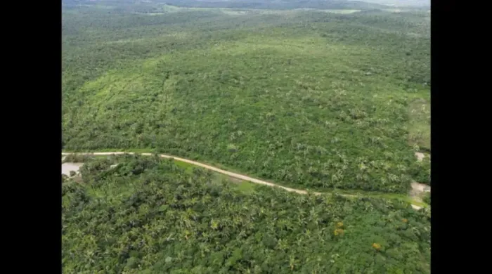 FAZENDA À VENDA CHAPADINHA/MA PORTEIRA FECHADA 400 hectares