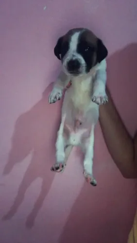 Estou doando Machinhos ?