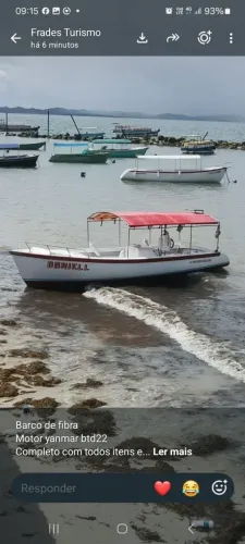 Barco de fibra