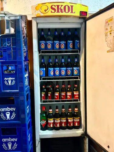 Freezer vertical