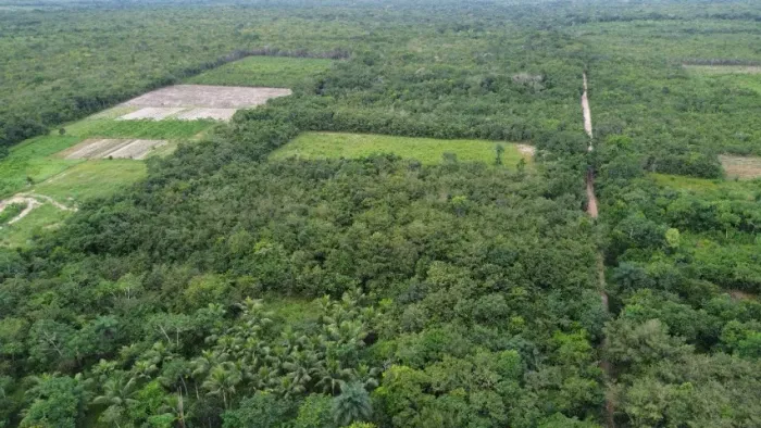 10 hectares sitio há 74 km de Castanhal Pará por 170 mil