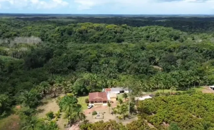 FAZENDA DE PRODUÇÃO DE CACAU NO BAIXO SUL DA BAHIA COM 56 HA
