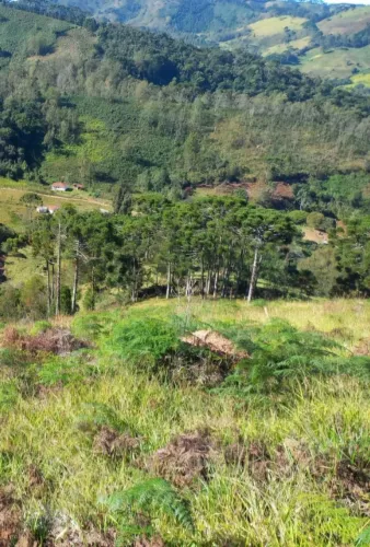 Sitio 12 Hectares , Marmelópolis MG<br>Marmelópolis M/G