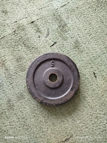 Par de Anilha de 5kg