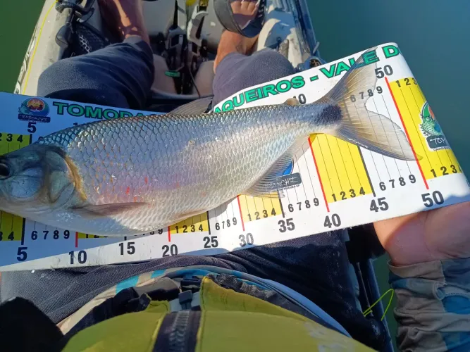 Pesca 