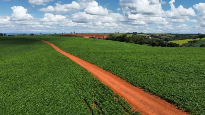 Fazenda a venda Tatuí SP