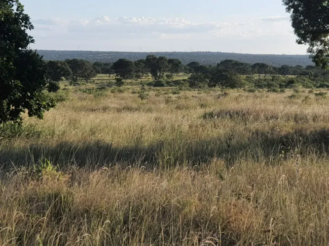 VENDO EXCELENTE FAZENDA DE 520 HECTARES NA REGIÃO BURITIZEIRO MG PARA DUPLA APTIDÃO NORTE
