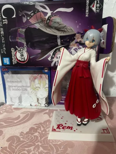 Rem SPM figure
