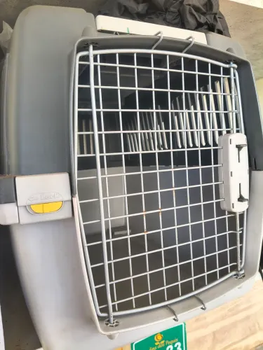 Caixa de Transporte Pet Guliver 4