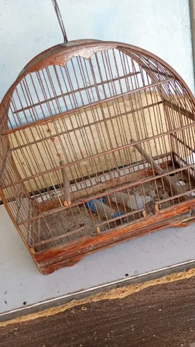 3 gaiolas para passarinho e calopsita