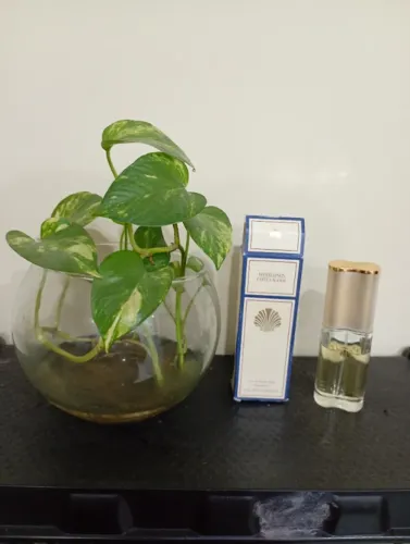 Vendo perfume importado White Linen da Estee Lauder novo por 400,00