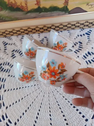 Xícaras de chá porcelana pozzani