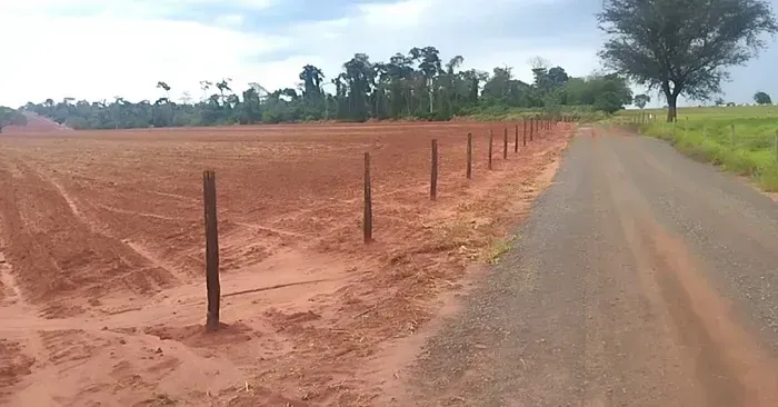 PECUÁRIA-MANDIOCA-LARANJA - Área Rural 103 Alqueires