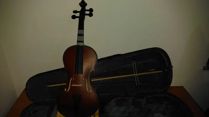 Violino 4/4 Completo com Estojo e Arco - Excelente Estado, Pronto para Tocar