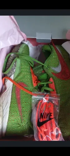 LeBron xx