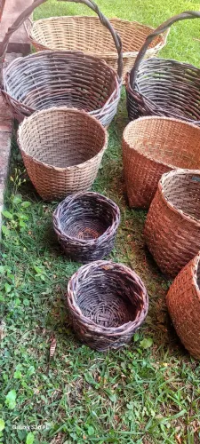 Lote de sestas 