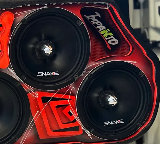 Vendo 6x9 6p Snake 220rms 