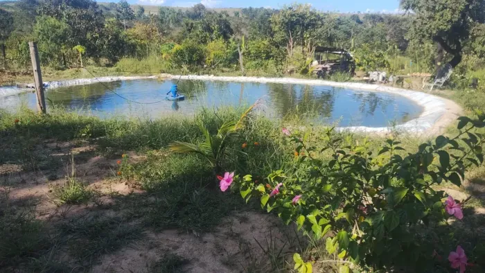 SÍTIO 20.000 DE TERRA FÉRTIL e plana com casa 2qts entrada para Cachoeira do Choro CURVELO