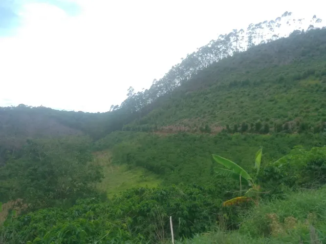 Propriedade região de marechal floriano 