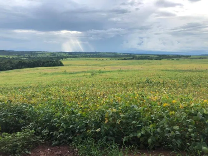 Imóvel rural, 600 m² no Área Rural de Mineiros em Mineiros