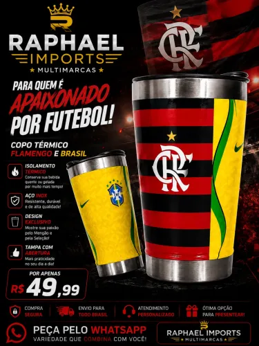 COPO DO FLAMENGO E BRASIL