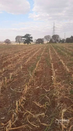 Chácara à venda, 5000 m² por R$ 270.000,00 - Tupinamba - Astorga/PR