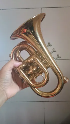 Trompete pocket sub novo