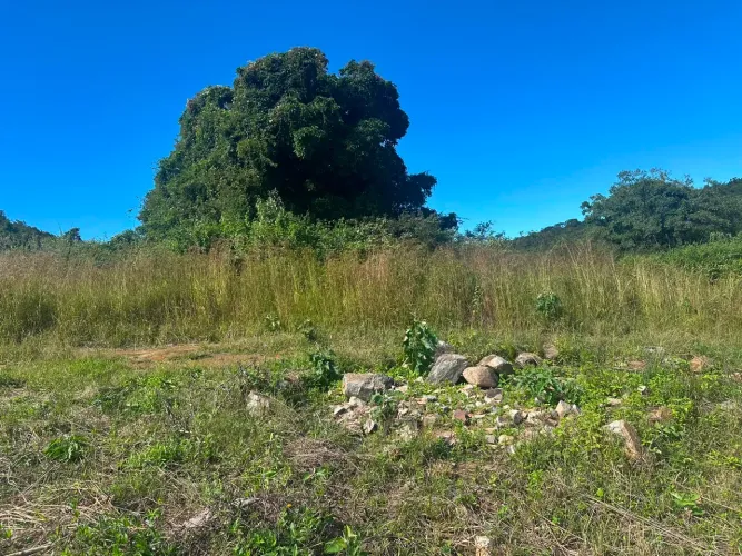 ? VENDO TERRENO EM MULUNGU - CE ?