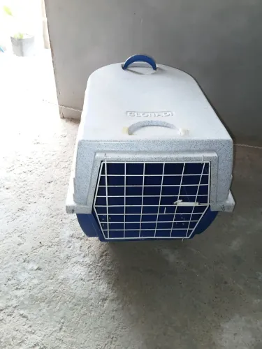 Caixa de transporte Pet