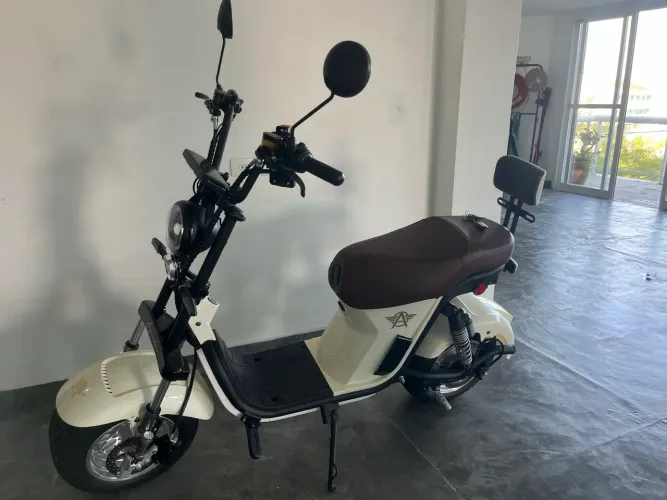 Ciclo Elétrico Bicicleta Autopropelida