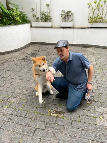 Adestrador de Cães