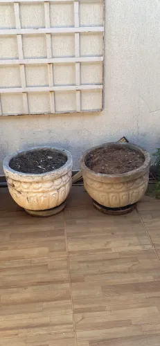 Vasos de Concreto Decorados - Super Resistentes (Venda Rápida)