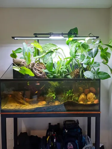Aquario 192 Litros